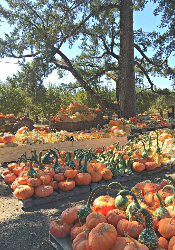 Creating Halloween Spirit with Pre-Schoolers (or Adults) in the Bay Area