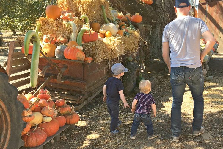 Creating Halloween Spirit with Preschoolers (or Adults) in the Bay Area