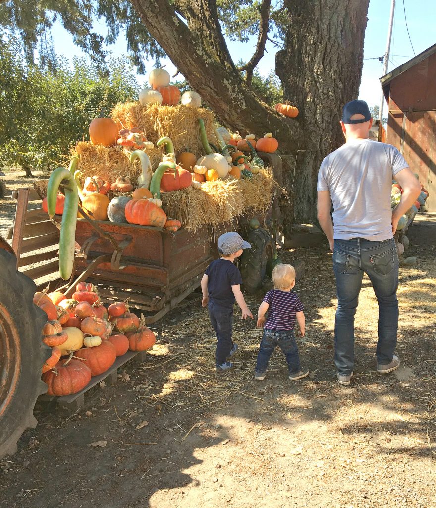 Creating Halloween Spirit with Pre-Schoolers (or Adults) in the Bay Area