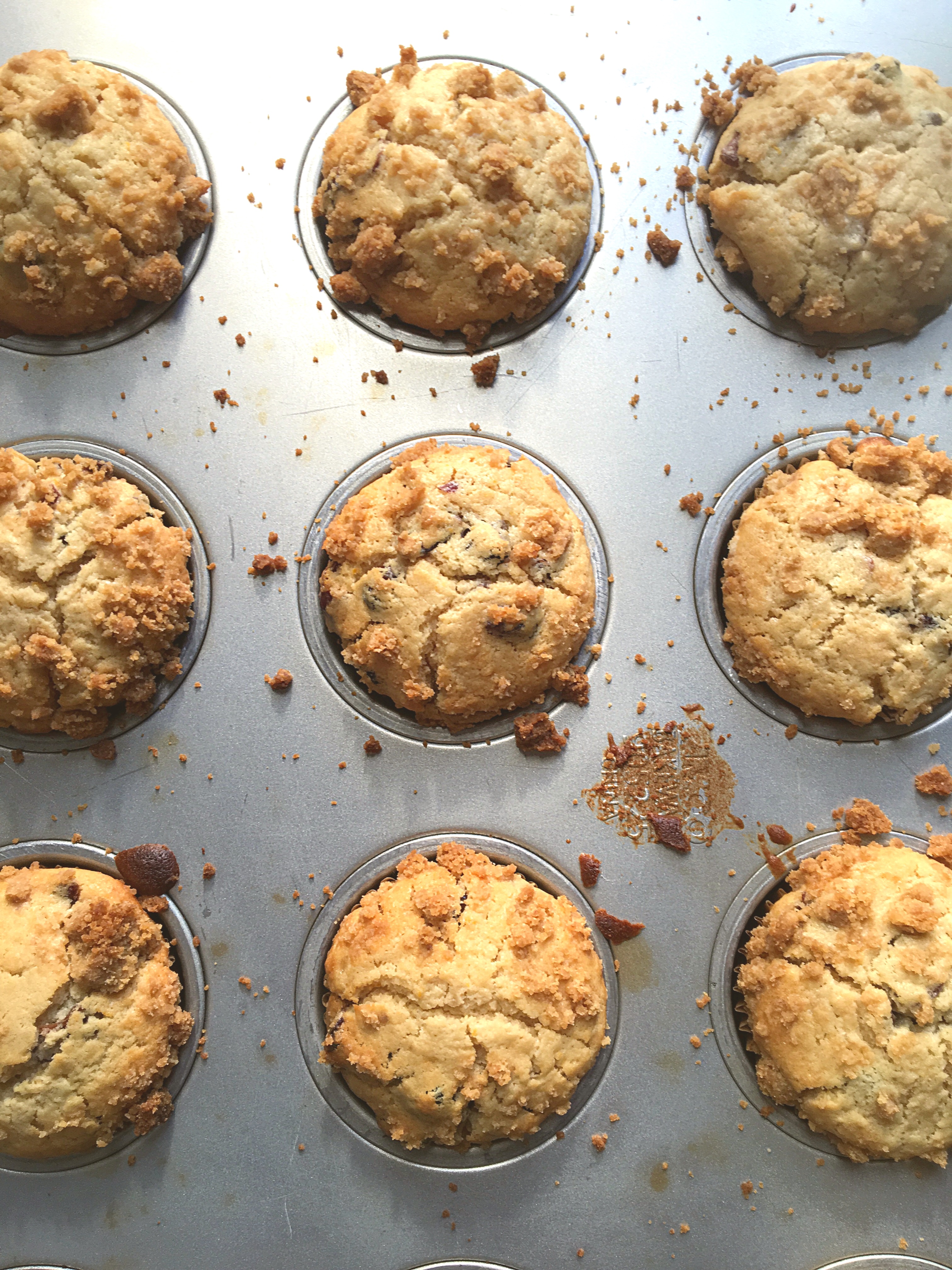 Winter's Cranberry Orange Muffin